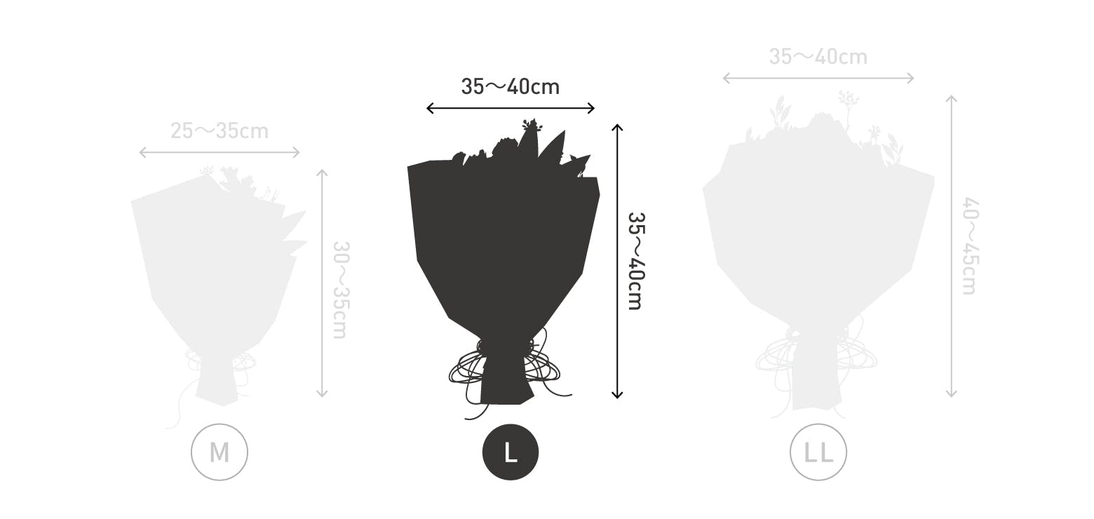 サイズ目安 高さ40〜45cm 幅30〜40cm 50本