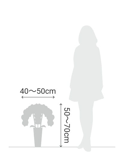 サイズ目安 縦50〜70cm 横40〜50cm