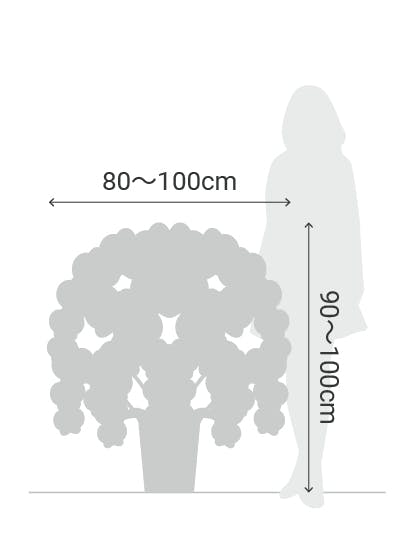 サイズ目安 縦90〜100cm 横80〜100cm